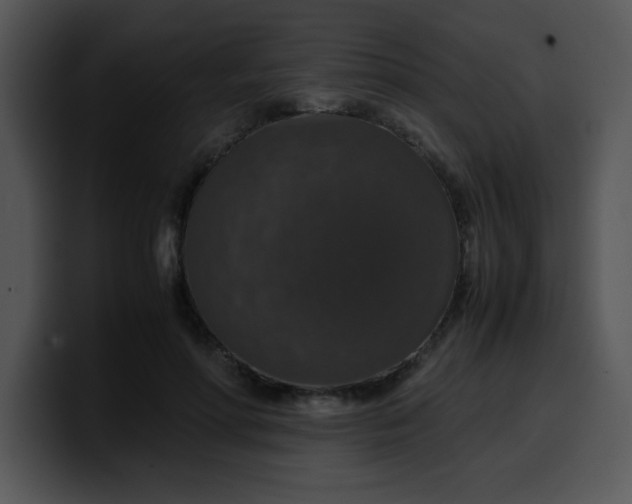 X0000099990598200806061546