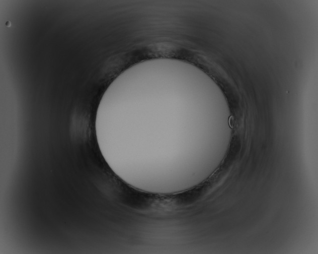 X0000099990599200806061546