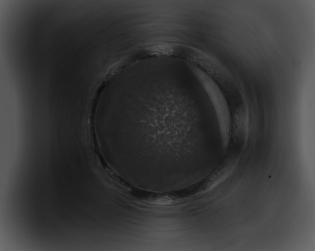 X0000099990600200806061546