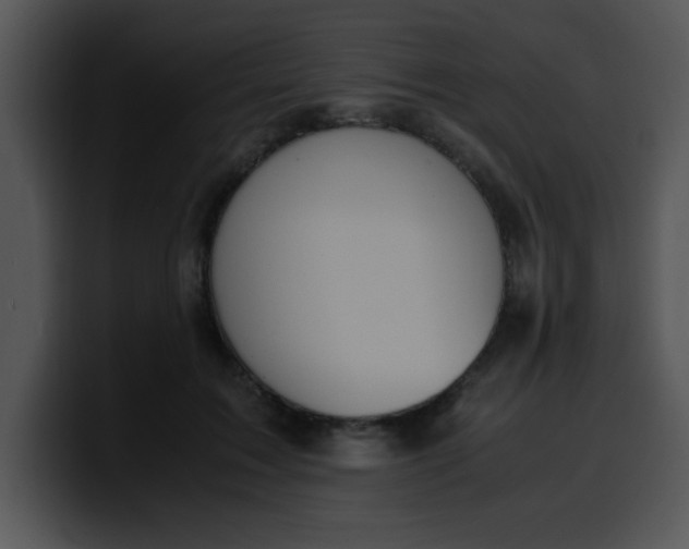 X0000099990603200806061546