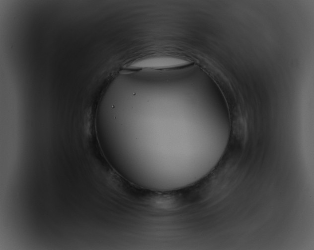 X0000099990604200806061546