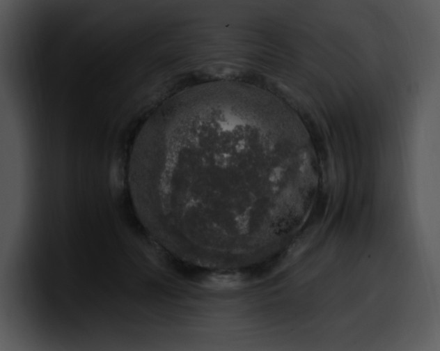 X0000099990606200806061546