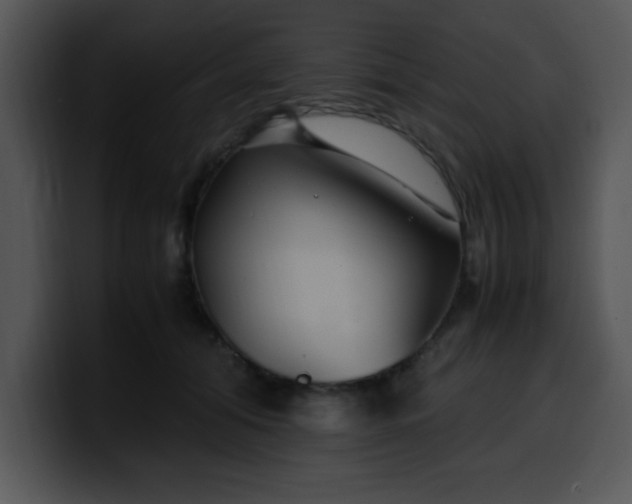 X0000099990608200806061546