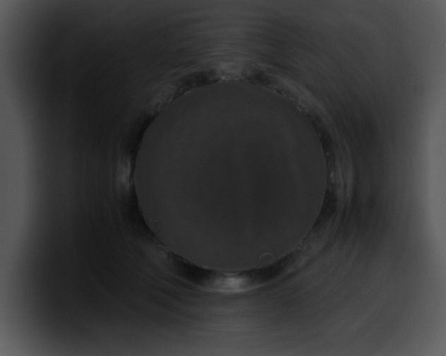 X0000099990610200806061546