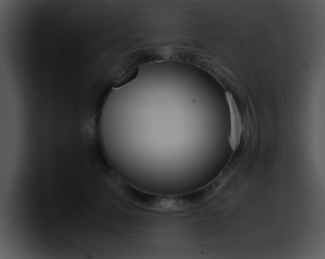 X0000099990611200806061546