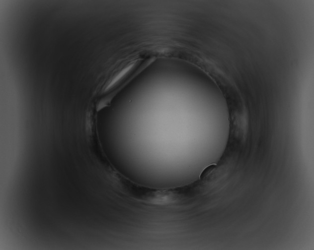 X0000099990612200806061546