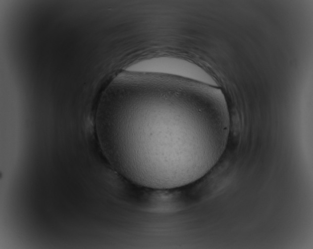 X0000099990613200806061546