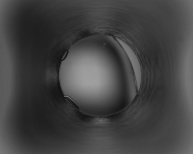 X0000099990617200806061545