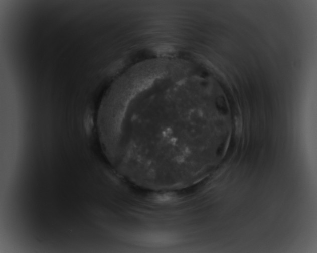 X0000099990618200806061545