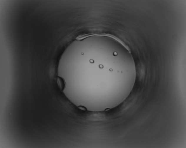 X0000099990619200806061545