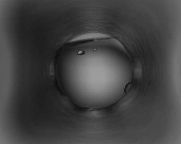 X0000099990620200806061545