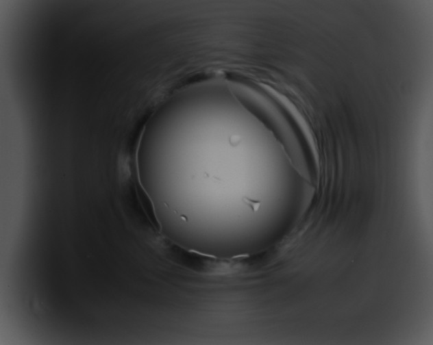 X0000099990621200806061545