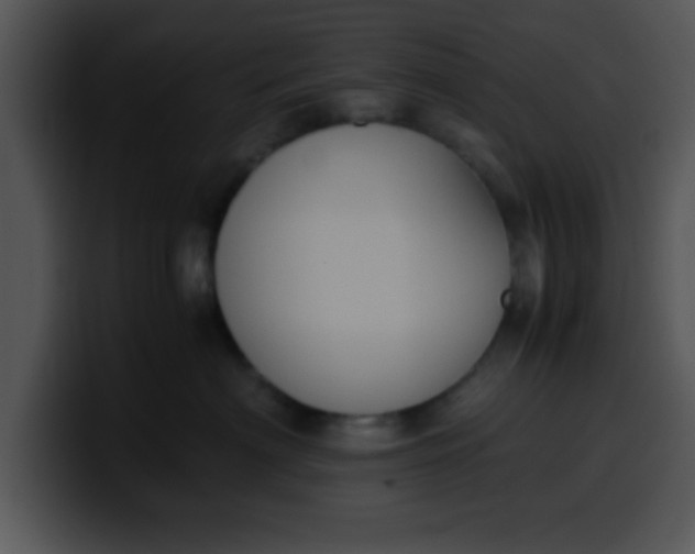 X0000099990622200806061545