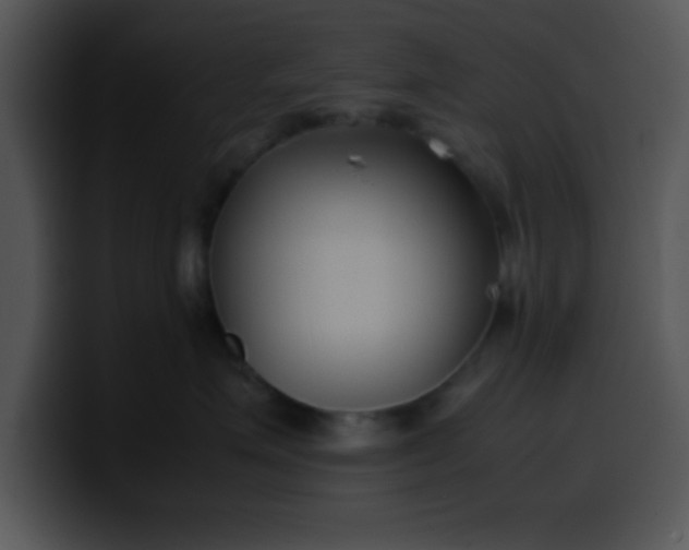 X0000099990623200806061545