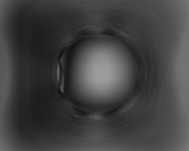 X0000099990624200806061545