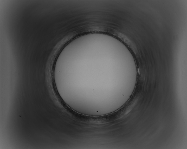 X0000099990625200806061545