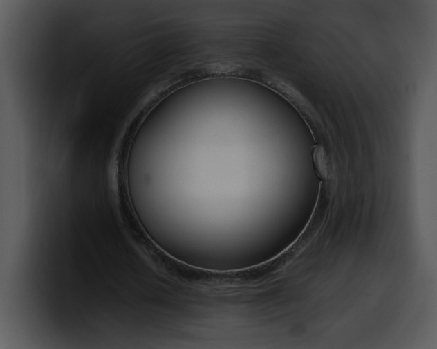 X0000099990626200806061545