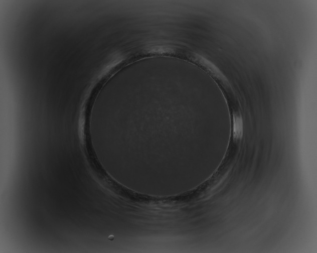 X0000099990627200806061545