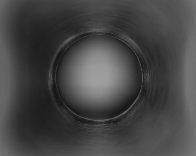 X0000099990628200806061545