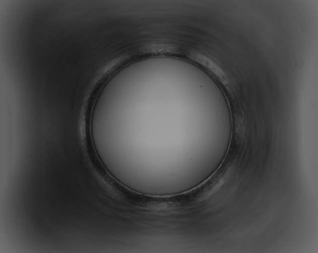 X0000099990629200806061545