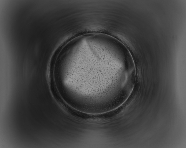 X0000099990630200806061545