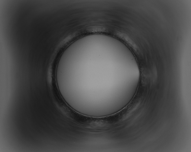 X0000099990631200806061545