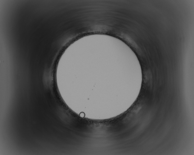 X0000099990632200806061545