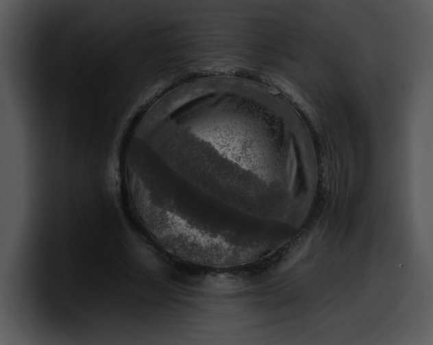 X0000099990634200806061545