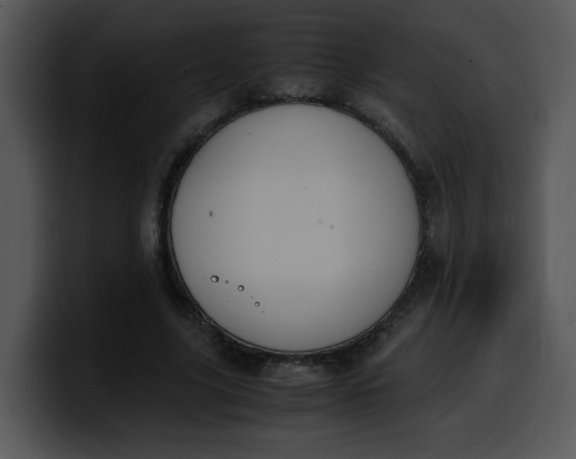 X0000099990635200806061545