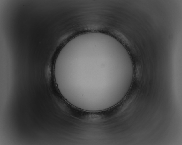 X0000099990636200806061545