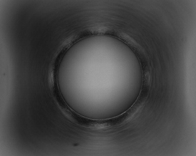 X0000099990638200806061545