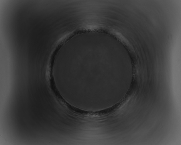 X0000099990640200806061545