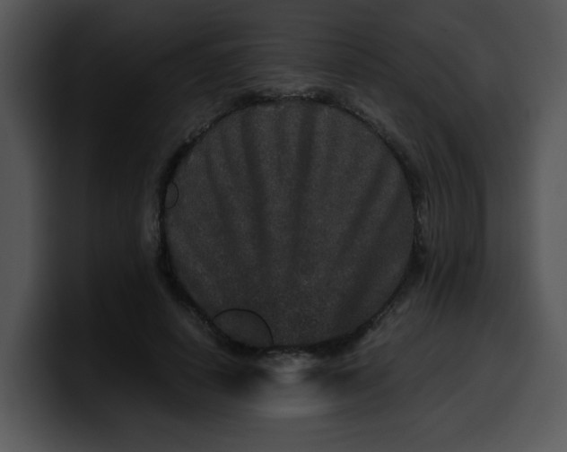 X0000099990642200806061545