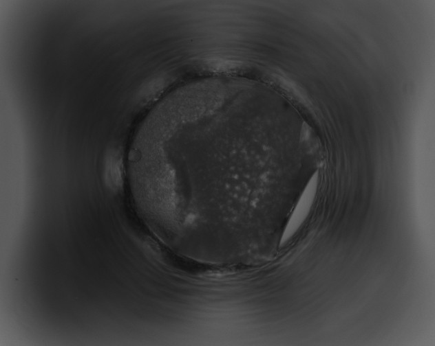 X0000099990644200806061545