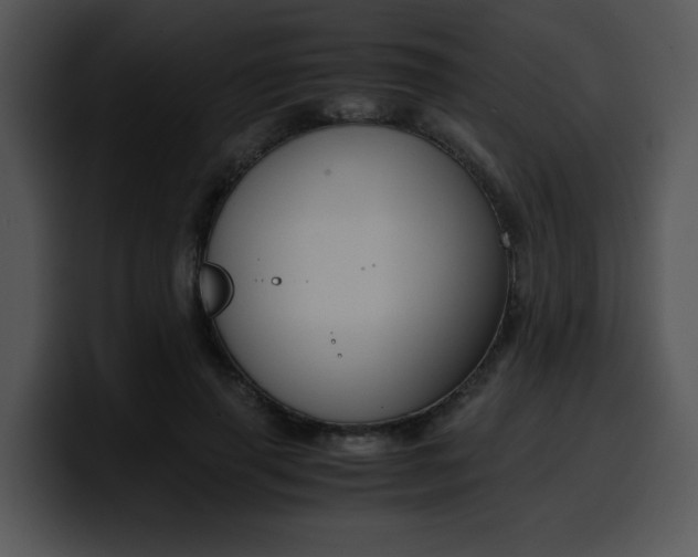 X0000099990645200806061545