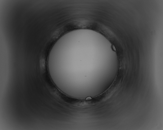 X0000099990646200806061545