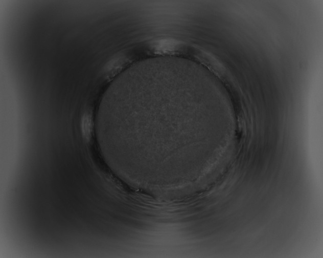 X0000099990648200806061545