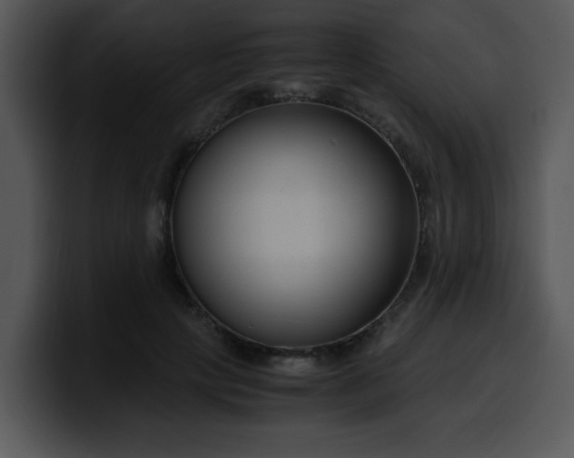 X0000099990649200806061545