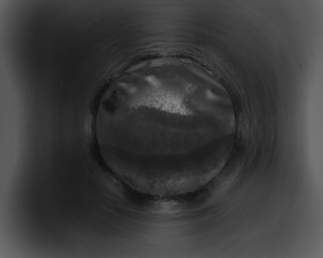 X0000099990650200806061545