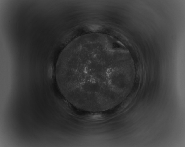 X0000099990651200806061545