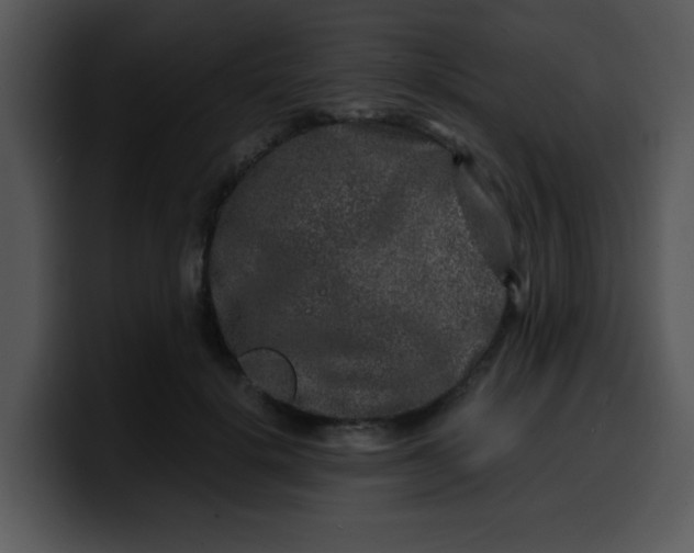 X0000099990652200806061545