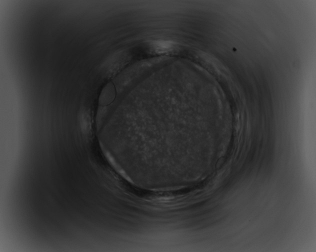 X0000099990653200806061545