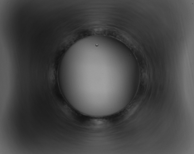 X0000099990654200806061545