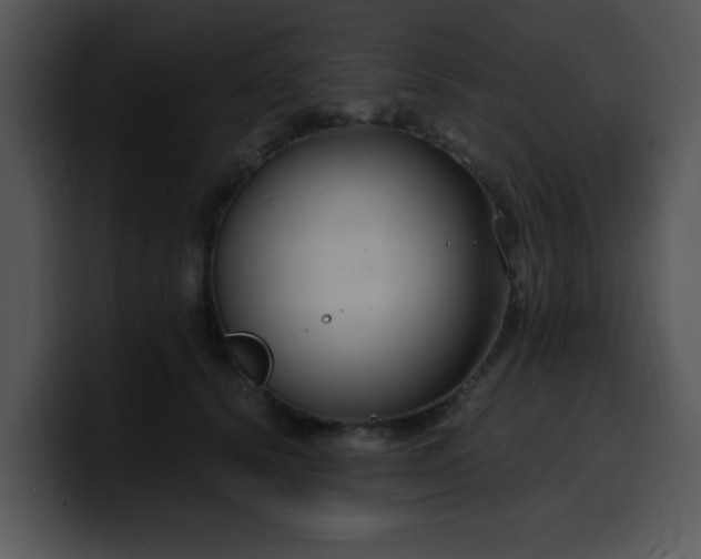 X0000099990656200806061545