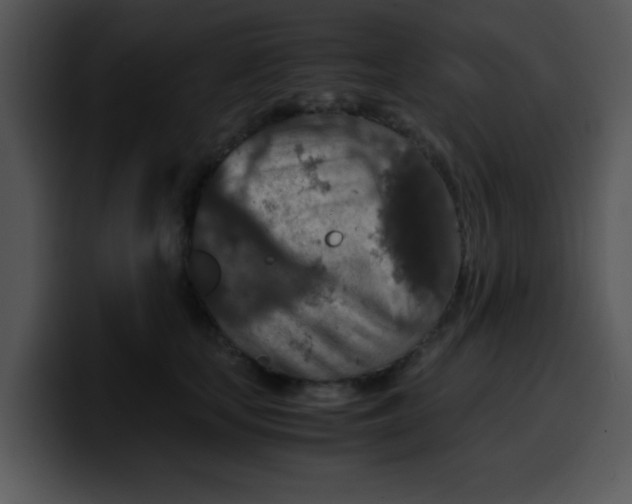 X0000099990659200806061545