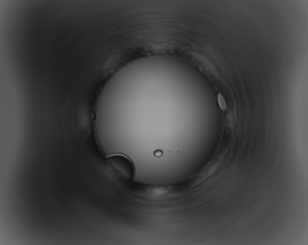 X0000099990662200806061545