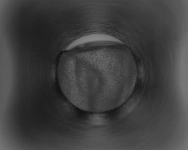 X0000099990664200806061545