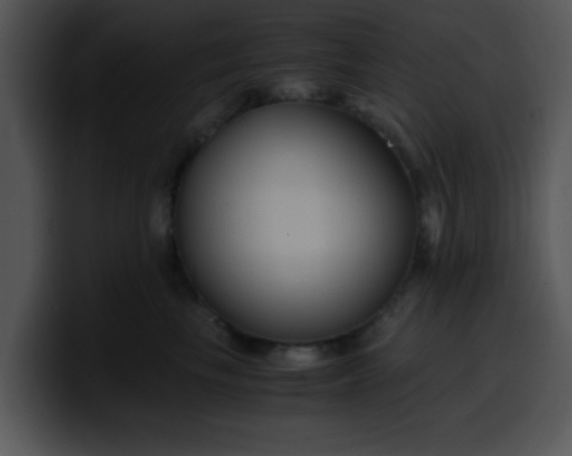 X0000099990665200806061545