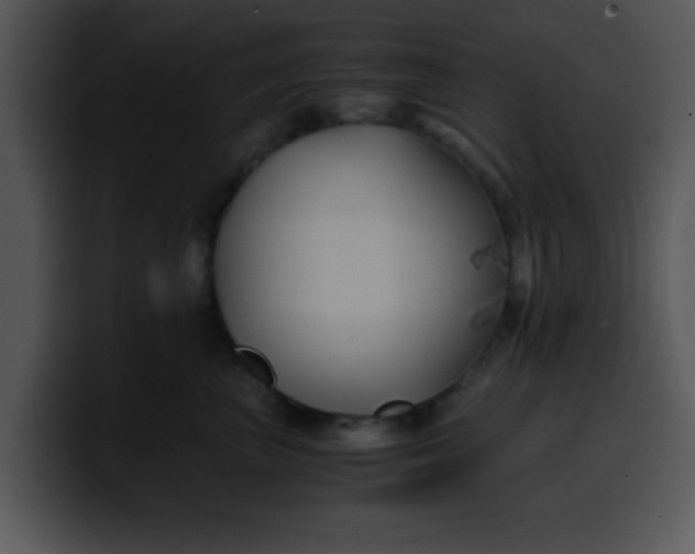 X0000099990667200806061545