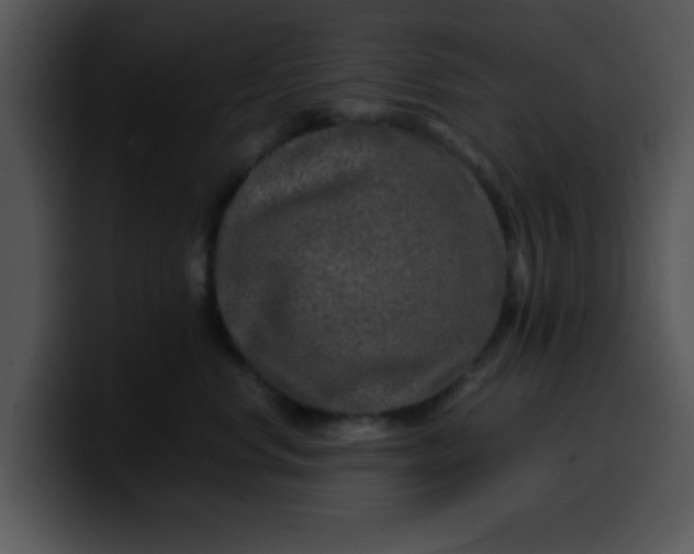 X0000099990668200806061545